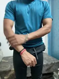 RaghavSinghvs webcam model stream image
