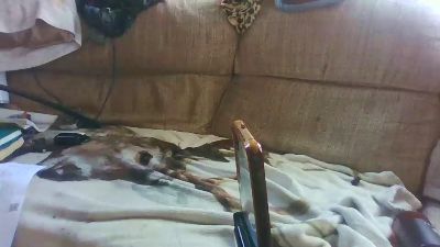 david4541tex webcam model stream image