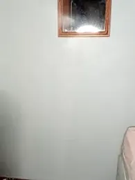 DR-ANIMAL webcam model stream image