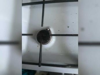 Skripach webcam model stream image