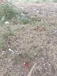 Cafe_kannada webcam stripchat model stream image