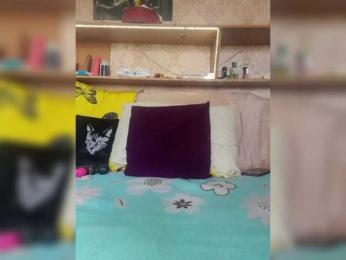 MS-86 webcam model stream image