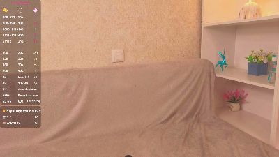 ElseWaldoch webcam model stream image
