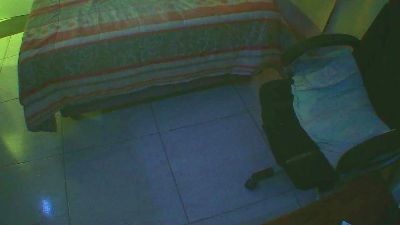 nau82 webcam model stream image