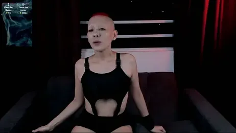 lnxmst webcam model stream image