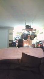 cuttdog2 webcam model stream image