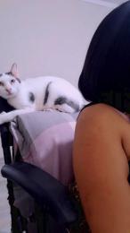 Tucojafavorita webcam model stream image