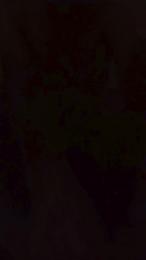 jumy5 webcam cam4 model stream image