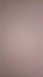 Valida webcam model stream image