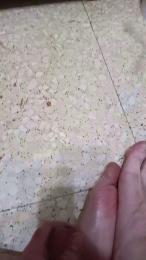 Bidjot webcam model stream image