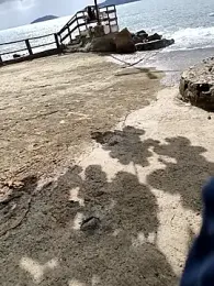 Gustavo52367 webcam stripchat model stream image