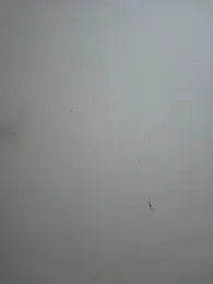 Valerious180 webcam stripchat model stream image