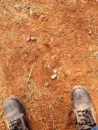 Rahul_India webcam model stream image