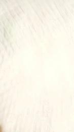 Lukignolo81 webcam cam4 model stream image