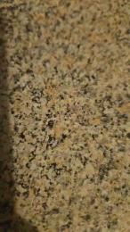 lovesex329 webcam model stream image