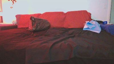 LOKARTI webcam model stream image