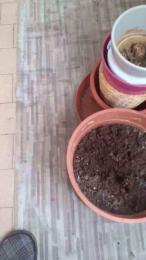 bigcock90rim webcam model stream image