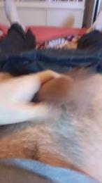 bigcock90rim webcam model stream image