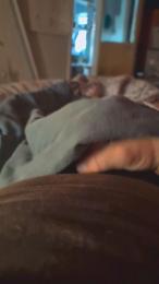 tommynrw74 webcam model stream image