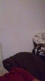 Cerditoi webcam model stream image