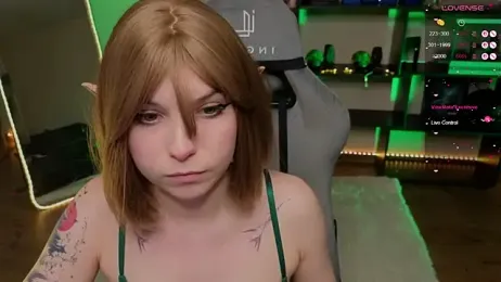 zelda_1 webcam model stream image