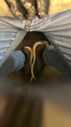 marc008 webcam model stream image