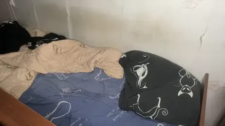 Jeycob_ice webcam model stream image