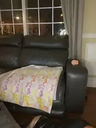 LittleMissEeve webcam model stream image