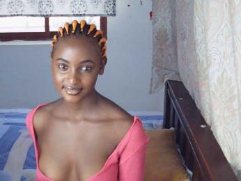 Ambrosiana webcam model stream image