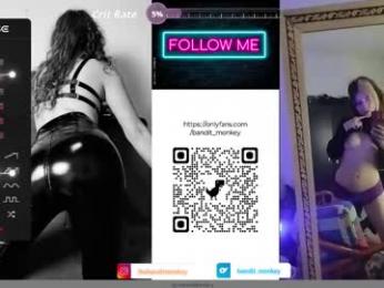 bandit_monkey webcam model stream image