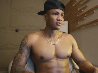 Logan Varela webcam model stream image