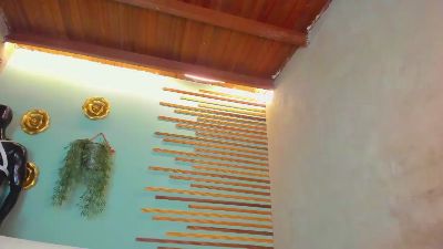 martin_killer webcam model stream image