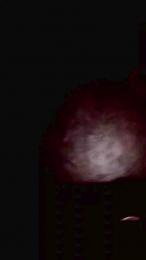 Erotikone29 webcam model stream image