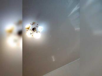 MilfaSguirt webcam model stream image