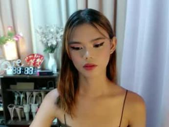 sweetytrannygirlxx webcam model stream image