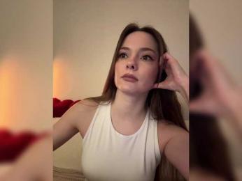 North-Pole webcam model stream image