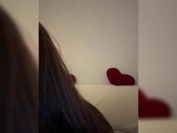 North-Pole webcam model stream image