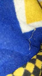 Lechero1233 webcam model stream image