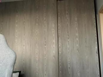 ronny_ponny webcam model stream image