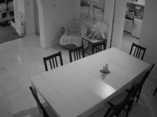 voyeurcam-julmodels-dining webcam model stream image