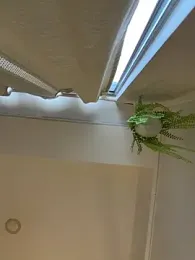 ZaraLuuv webcam stripchat model stream image