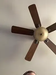 QueenNuttCollector webcam stripchat model stream image