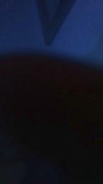 xulo40 webcam model stream image