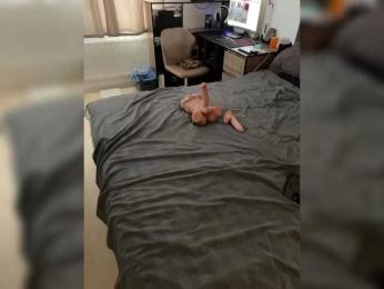 AlexMir69 webcam model stream image