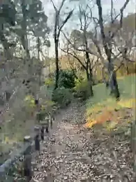 Hideen-real-face webcam model stream image