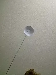 julimonroe webcam model stream image