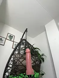 jamilaross stripchat stream image