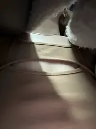 katexxxx stripchat stream image