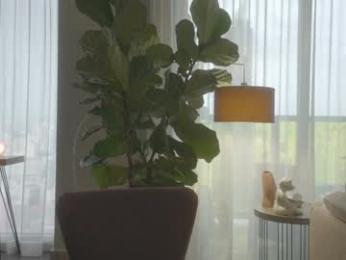 emma_lu1 chaturbate stream image