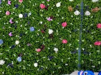 babyaylin chaturbate stream image